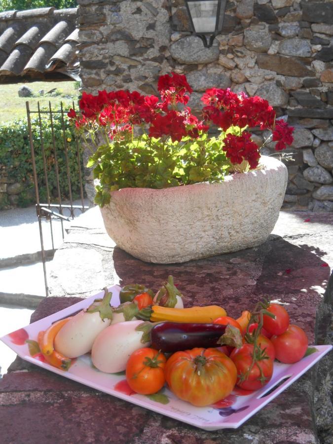 Le Mas De Ribard Breau-et-Salagosse Luaran gambar